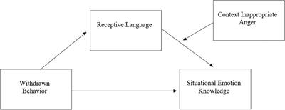 Withdrawn Behavior in Preschool: Implications for Emotion Knowledge and Broader Emotional Competence